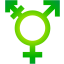 transexualesdebrasil.com icon