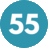 transit55.ca icon