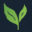transitionaustralia.net icon