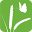 transitionsouthampton.org icon