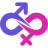 translocals.com icon
