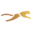 transport-ale.fr icon