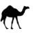 travelarabia.ch icon
