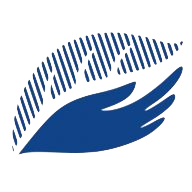 travelifeaudits.com icon