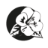 travelsouthpacific.ch icon