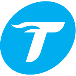 traversiers.com logo