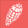 treasureseekersshelltours.com icon