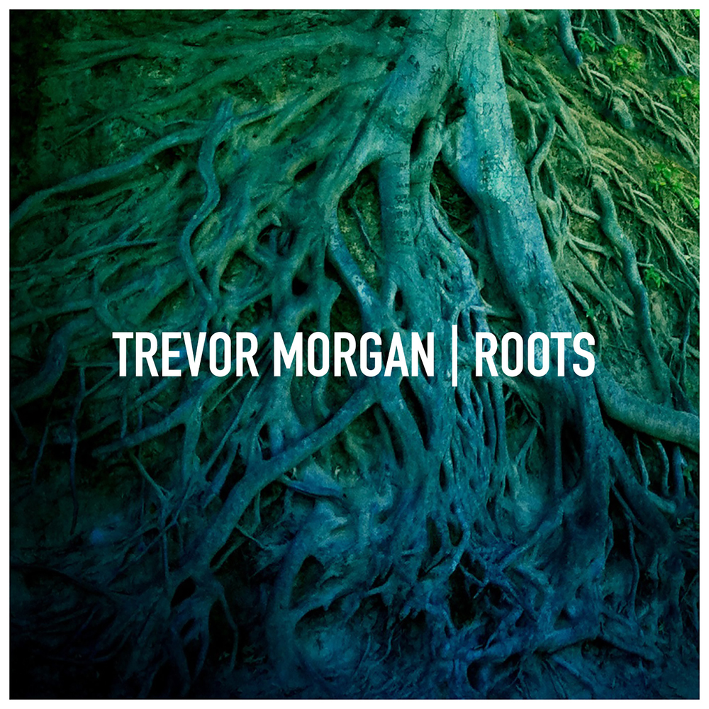 trevormorganmusic.com icon