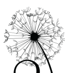 triadchild.com icon
