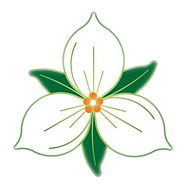 Trillium Recreation Management logo