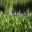 tripplebrookfarm.com icon