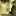 trle.net icon