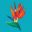 tropicalhawaiiantour.com icon