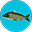 true.fishing logo