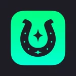 trueluckcasinonl.net icon