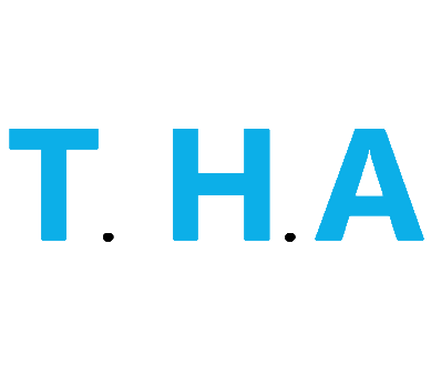 trustholdingassets.com favicon