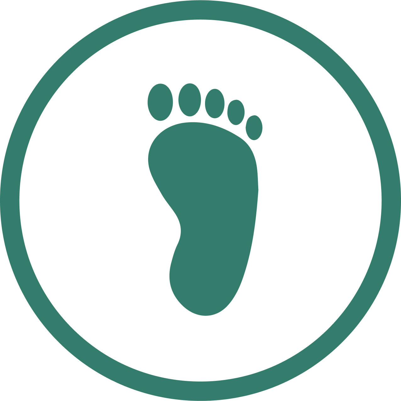 tryfungusbreakpro.com icon