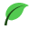 tryincellderm.com logo