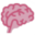 tryneurozoom.com icon