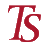 tsbg.com icon