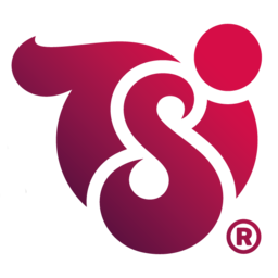 tsi.de icon
