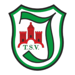 tsv-immenhausen.org icon