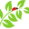 tuiniernatuurlijk.nl icon