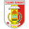 tulangbawangkab.go.id icon