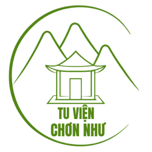 tuvienchonnhu.net icon
