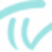 tv-fuerth-1860.de icon