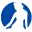 tvfestival.com icon