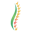 tvhealthfocus.com icon