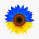 tvoikartinki.com.ua icon
