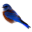 tvrss.net icon