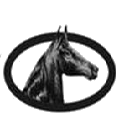 twhbea.com icon