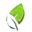 twifmarketing.com icon