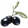 twigandolive.com icon