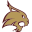 txstatebobcats.com icon