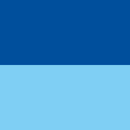 uas-japan.org icon