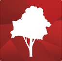 udf.name icon