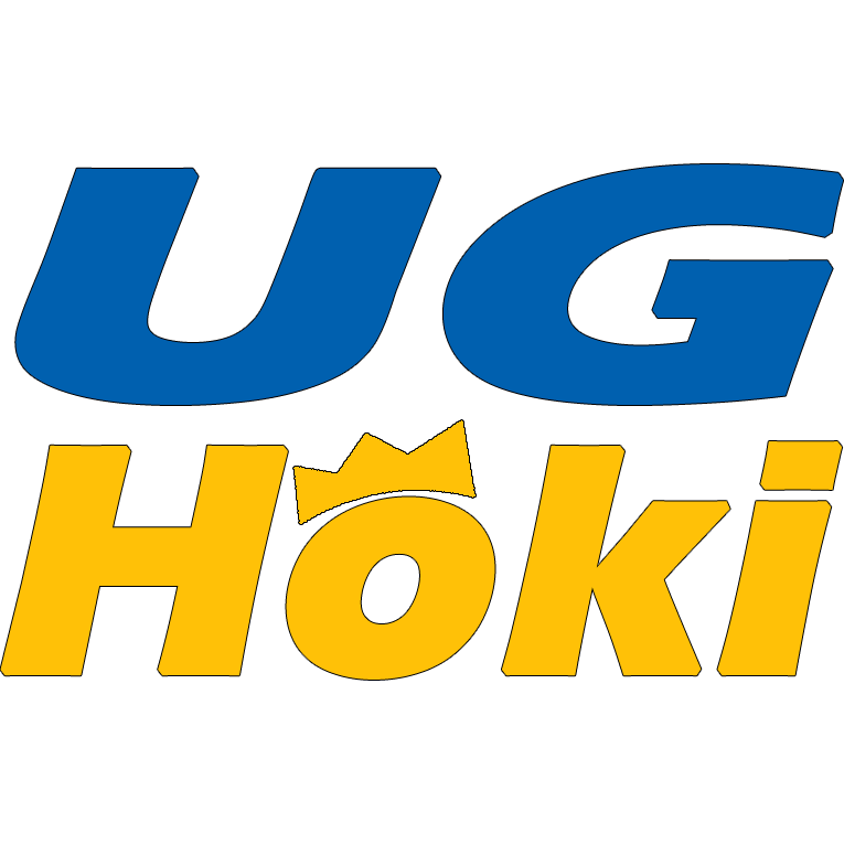 ughoki.com icon