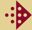 ultrascan-brains.com icon