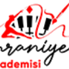 umraniyesanatmerkezi.com icon