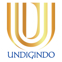 undigindo.com icon