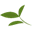 universalgreenfields.com icon