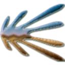 unleashnetworks.com icon