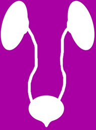 urologyschool.com icon