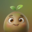 usebloom.app icon