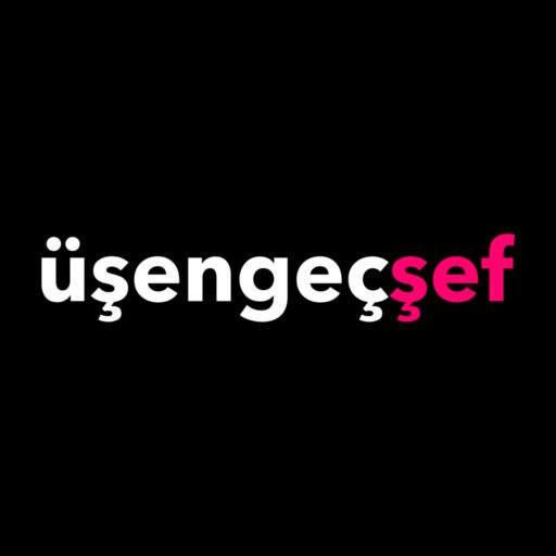 usengecsef.com icon