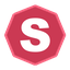 v-ns.com icon